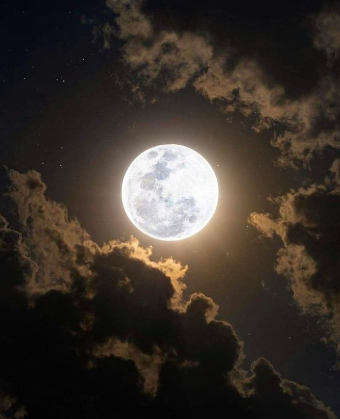Does Cutting Hair During a Full Moon Make It Grow Thicker? | Hair Myths Explained